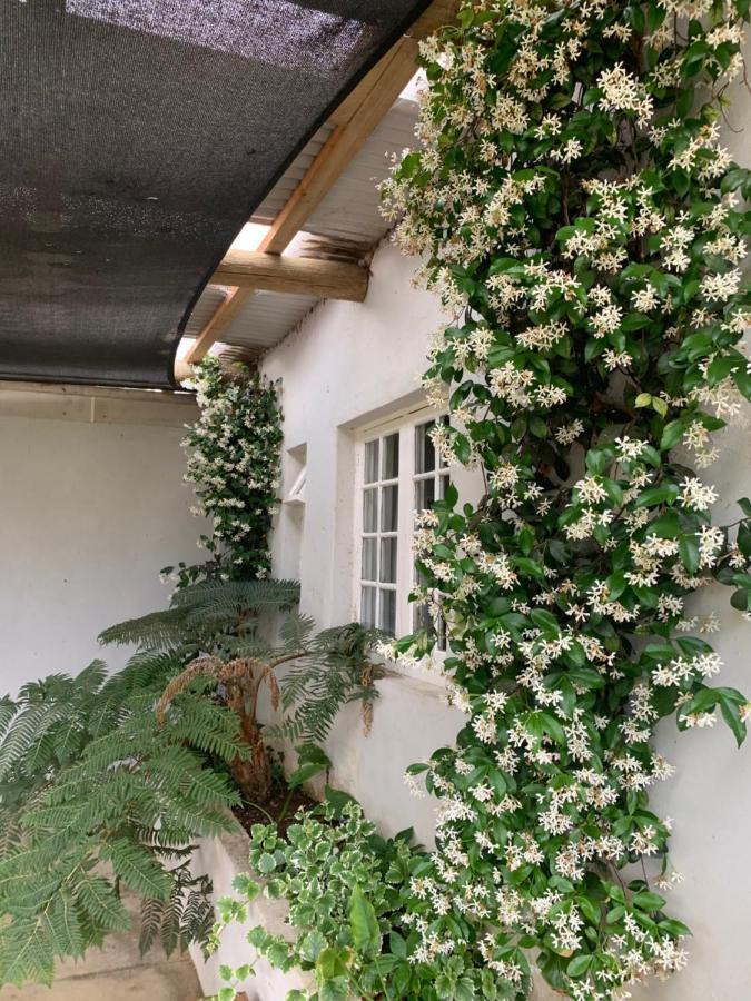 Shabach Farm Villa Hartebeesrivier Luaran gambar